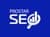 ProStar SEO logo