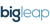 Big Leap logo