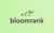 Bloomrank logo