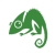Chameleon Web Services logo