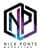 Nick Ponte Marketing logo